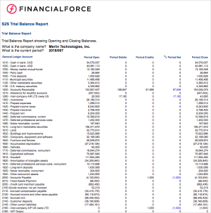 S2S Trial Balance Report